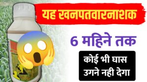 एलियन प्लस: एक छिड़काव और 6 महीने तक खरपतवार से छुटकारा
