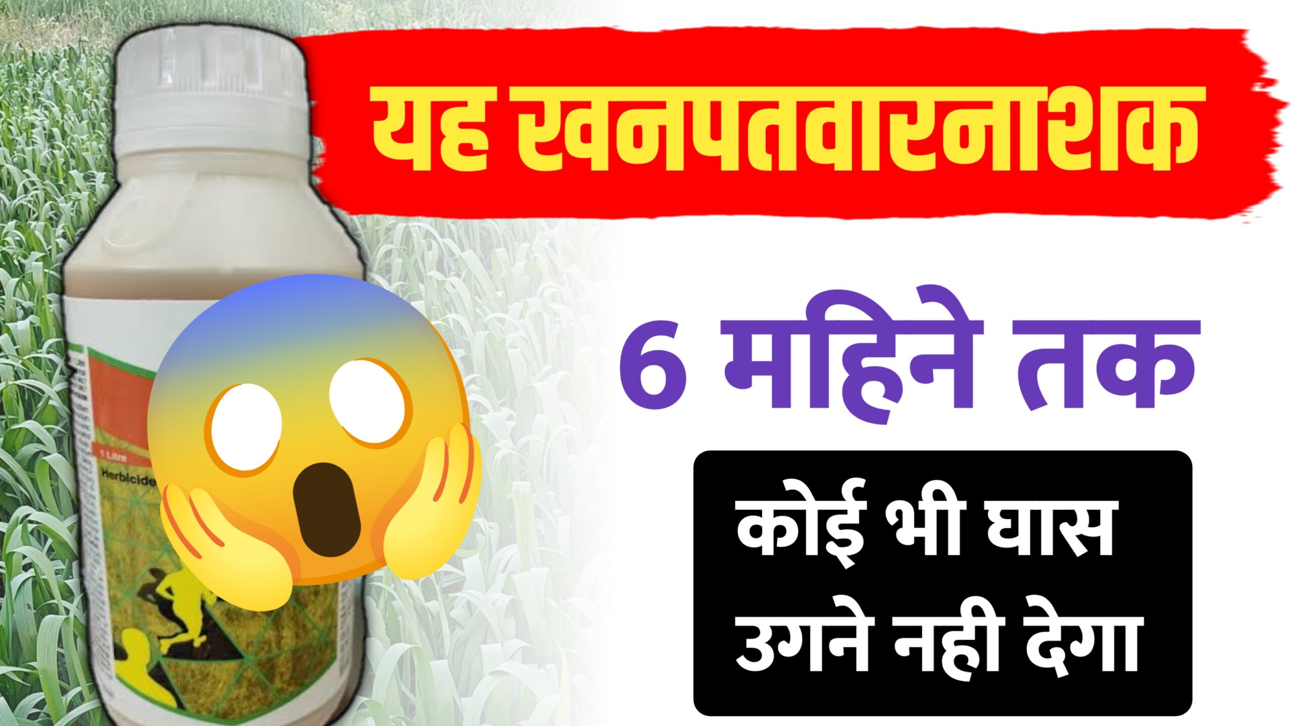 एलियन प्लस