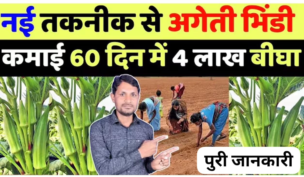भिंडी की खेती